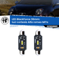 Luci Cortesia LED per Alfa romeo MiTo  2008 - 2018: C5W BlackForce 36mm (Coppia)