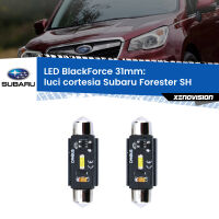 Luci Cortesia LED per Subaru Forester SH 2008 - 2014: C5W BlackForce 31mm (Coppia)