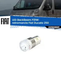 Retromarcia LED Fiat Ducato 250 2006 - 2013: P21W BackBeam