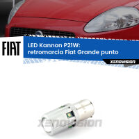 Retromarcia LED Fiat Grande punto  2005 - 2018: P21W Kannon