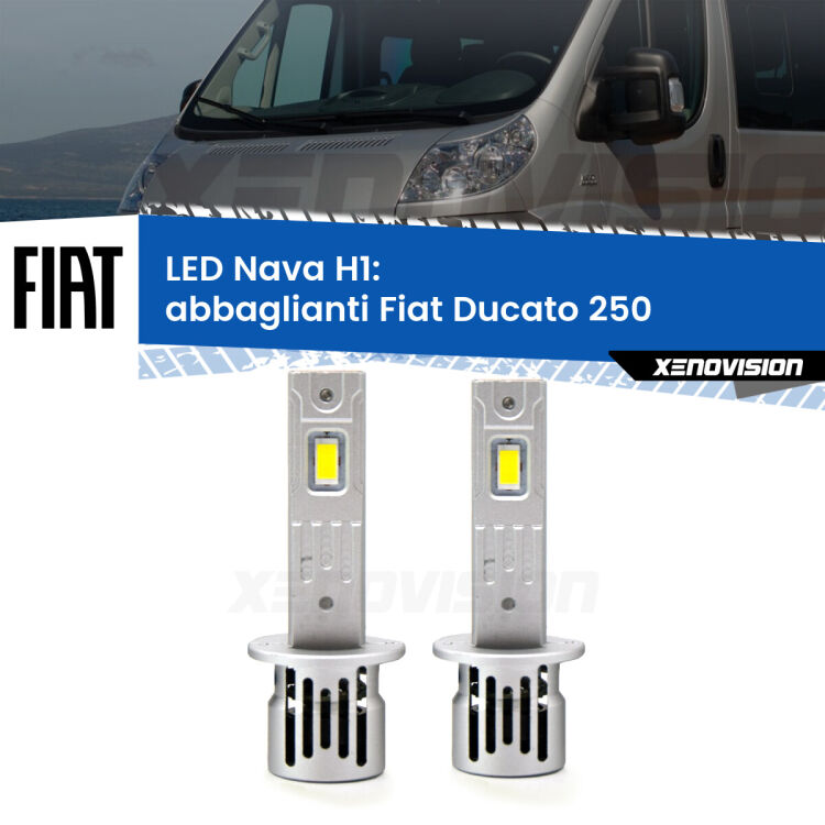 <strong>Abbaglianti LED no-spie per Fiat Ducato</strong> 250 senza luci diurne. Coppia lampade <strong> H1</strong> modello Nava canbus, raffreddate a ventola.