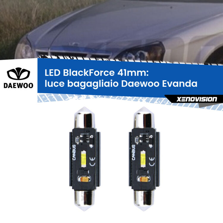 <strong>Luce Bagagliaio LED per Daewoo Evanda</strong>  2002 - 2005. Coppia lampade <strong>C5W</strong> 41mm modello BlackForce canbus.