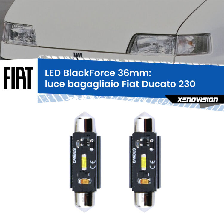 <strong>Luce Bagagliaio LED per Fiat Ducato</strong> 230 1994 - 2002. Coppia lampade <strong>C5W</strong> 36mm modello BlackForce canbus.