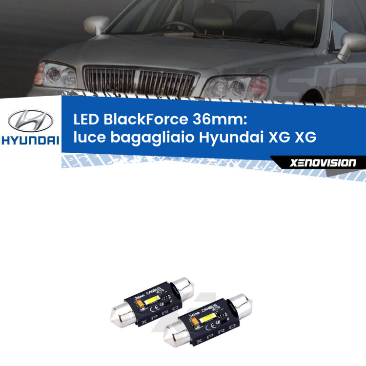 <strong>LED luce bagagliaio 36mm per Hyundai XG</strong> XG 1998 - 2005. Coppia lampadine <strong>C5W</strong>modello BlackForce Xenovision.