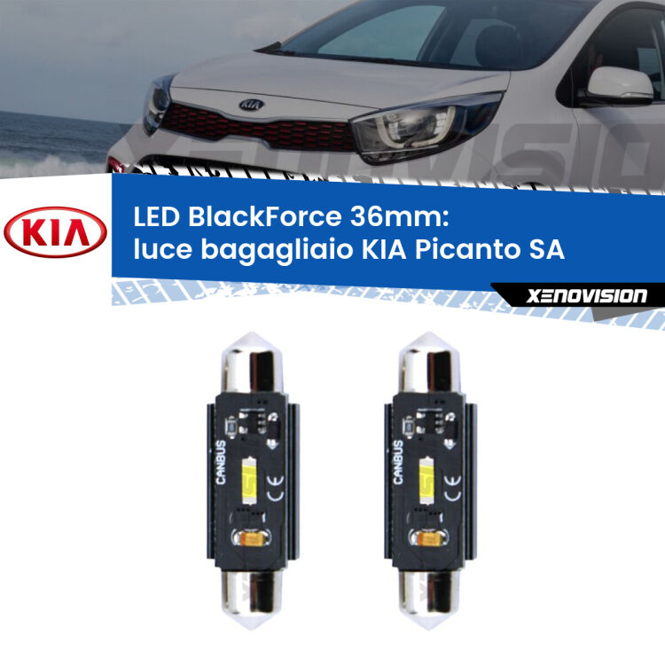 <strong>Luce Bagagliaio LED per KIA Picanto</strong> SA 2003 - 2010. Coppia lampade <strong>C5W</strong> 36mm modello BlackForce canbus.