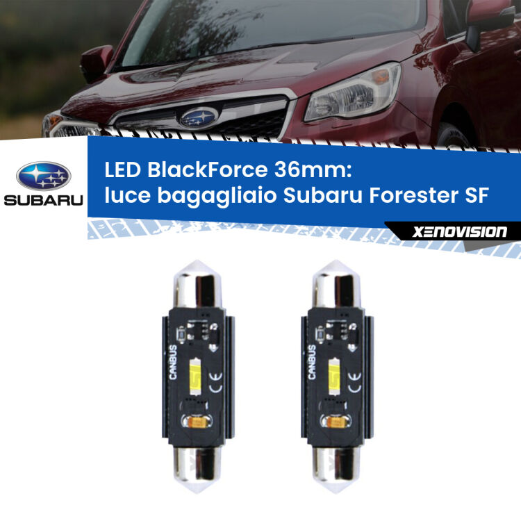 <strong>Luce Bagagliaio LED per Subaru Forester</strong> SF 1997 - 2002. Coppia lampade <strong>C5W</strong> 36mm modello BlackForce canbus.