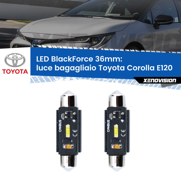 <strong>Luce Bagagliaio LED per Toyota Corolla</strong> E120 2002 - 2007. Coppia lampade <strong>C5W</strong> 36mm modello BlackForce canbus.