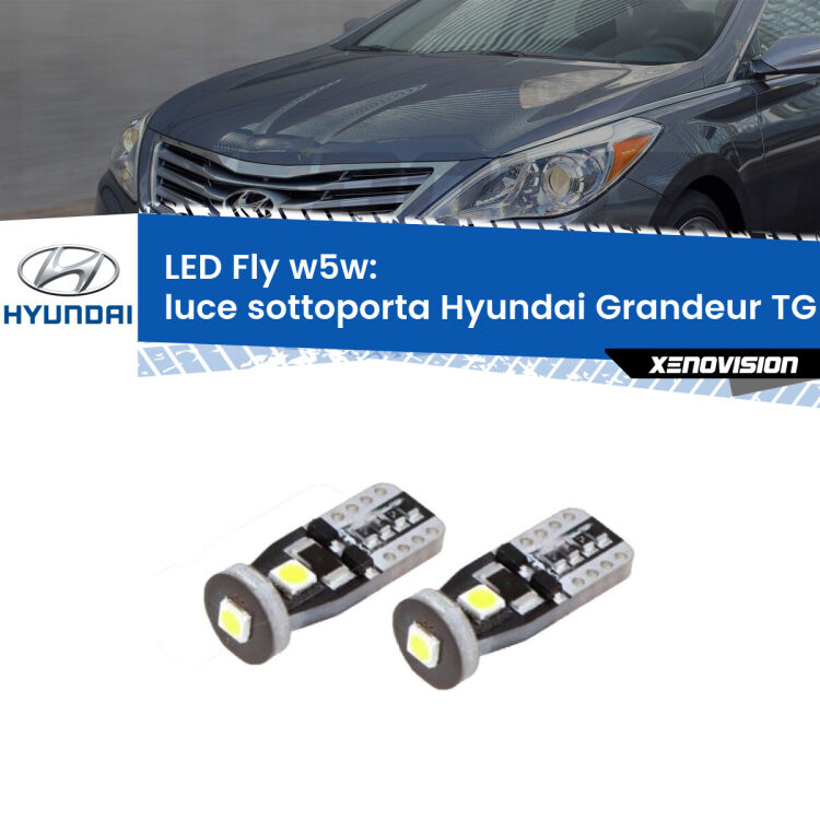 <strong>luce sottoporta LED per Hyundai Grandeur</strong> TG 2005 - 2011. Coppia lampadine <strong>w5w</strong> Canbus compatte modello Fly Xenovision.