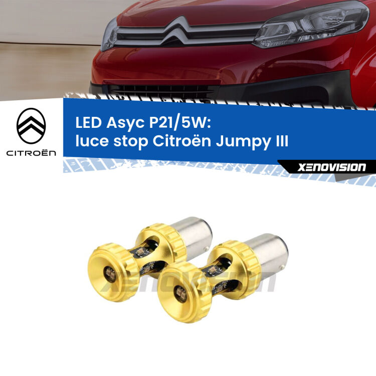 <strong>luce stop LED per Citroën Jumpy</strong> III 2016 in poi. Lampadina <strong>P21/5W</strong> rossa Canbus modello Asyc Xenovision.