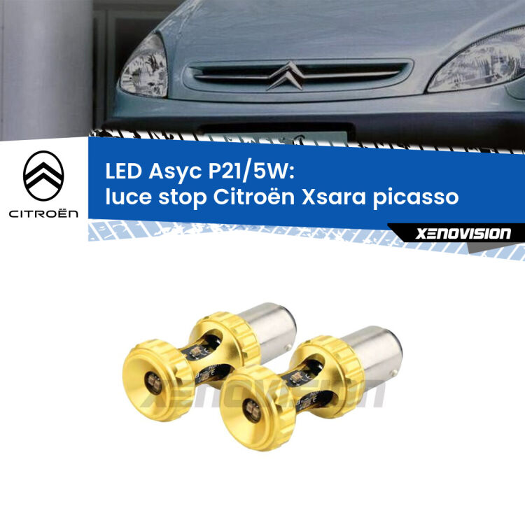 <strong>luce stop LED per Citroën Xsara picasso</strong>  1999 - 2012. Lampadina <strong>P21/5W</strong> rossa Canbus modello Asyc Xenovision.