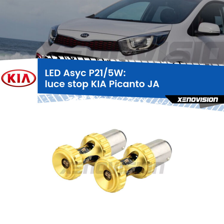 <strong>luce stop LED per KIA Picanto</strong> JA 2017 in poi. Lampadina <strong>P21/5W</strong> rossa Canbus modello Asyc Xenovision.