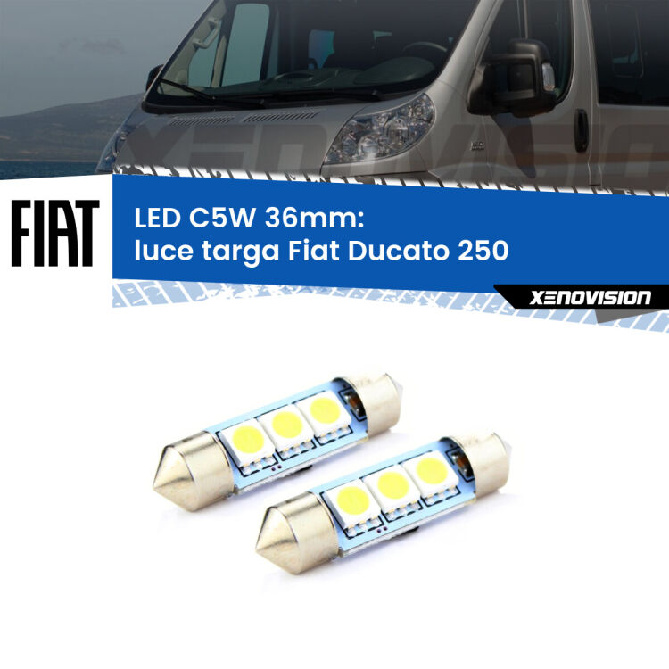 <strong>Luce Targa LED per Fiat Ducato</strong> 250 2006 - 2018. Coppia lampade <strong>C5W</strong> 36mm estremamente longeve.