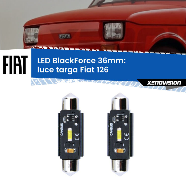 <strong>Luce Targa LED per Fiat 126</strong>  1972 - 2000. Coppia lampade <strong>C5W</strong> 36mm modello BlackForce canbus.