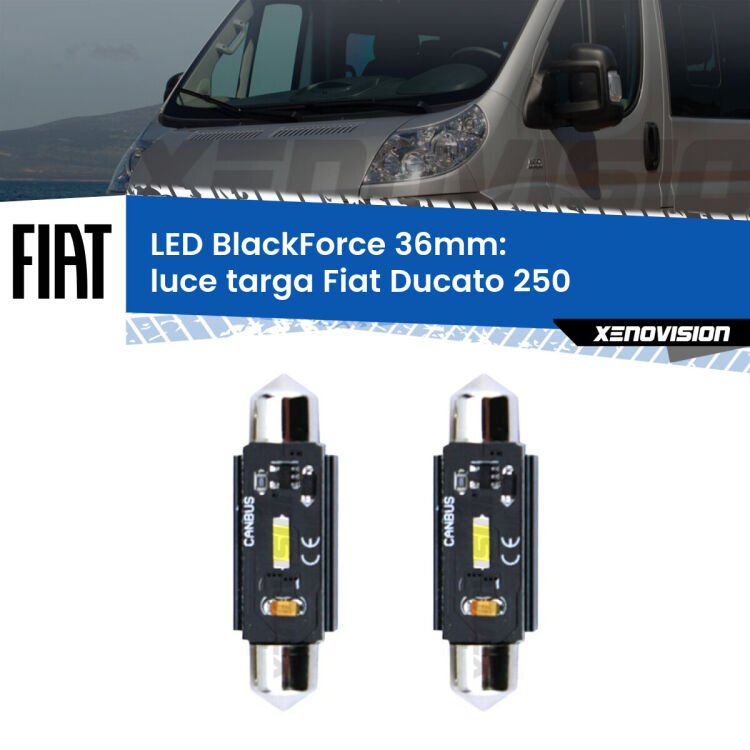 <strong>Luce Targa LED per Fiat Ducato</strong> 250 2006 - 2018. Coppia lampade <strong>C5W</strong> 36mm modello BlackForce canbus.