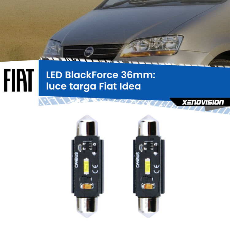 <strong>Luce Targa LED per Fiat Idea</strong>  2003 - 2015. Coppia lampade <strong>C5W</strong> 36mm modello BlackForce canbus.