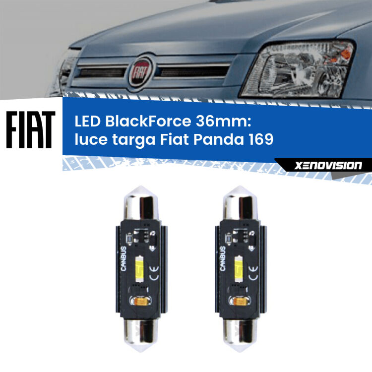 <strong>Luce Targa LED per Fiat Panda</strong> 169 2003 - 2012. Coppia lampade <strong>C5W</strong> 36mm modello BlackForce canbus.