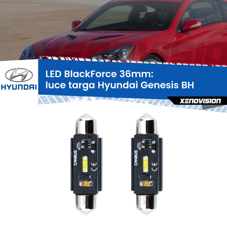 <strong>Luce Targa LED per Hyundai Genesis</strong> BH 2008 - 2014. Coppia lampade <strong>C5W</strong> 36mm modello BlackForce canbus.