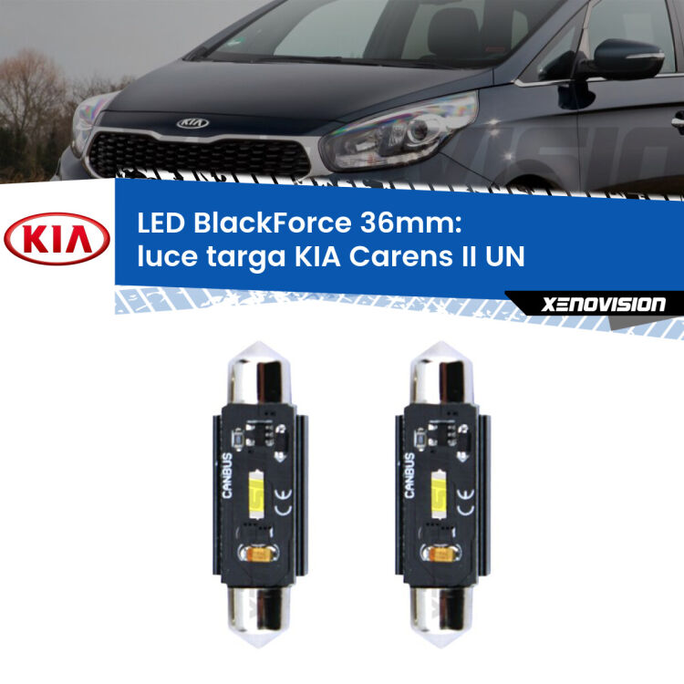 <strong>Luce Targa LED per KIA Carens II</strong> UN 2006 - 2011. Coppia lampade <strong>C5W</strong> 36mm modello BlackForce canbus.