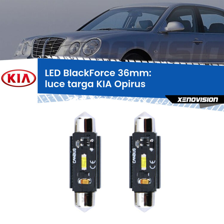 <strong>Luce Targa LED per KIA Opirus</strong>  2003 - 2011. Coppia lampade <strong>C5W</strong> 36mm modello BlackForce canbus.