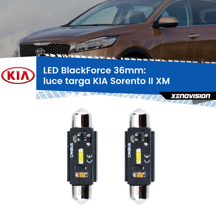 <strong>Luce Targa LED per KIA Sorento II</strong> XM 2009 - 2014. Coppia lampade <strong>C5W</strong> 36mm modello BlackForce canbus.