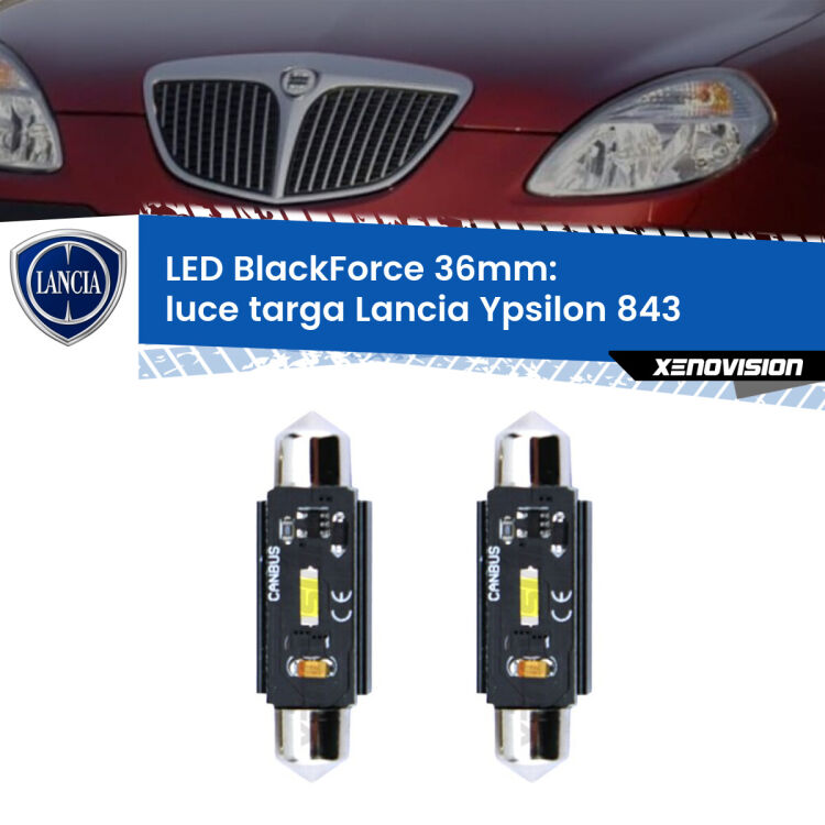 <strong>Luce Targa LED per Lancia Ypsilon</strong> 843 2003 - 2011. Coppia lampade <strong>C5W</strong> 36mm modello BlackForce canbus.