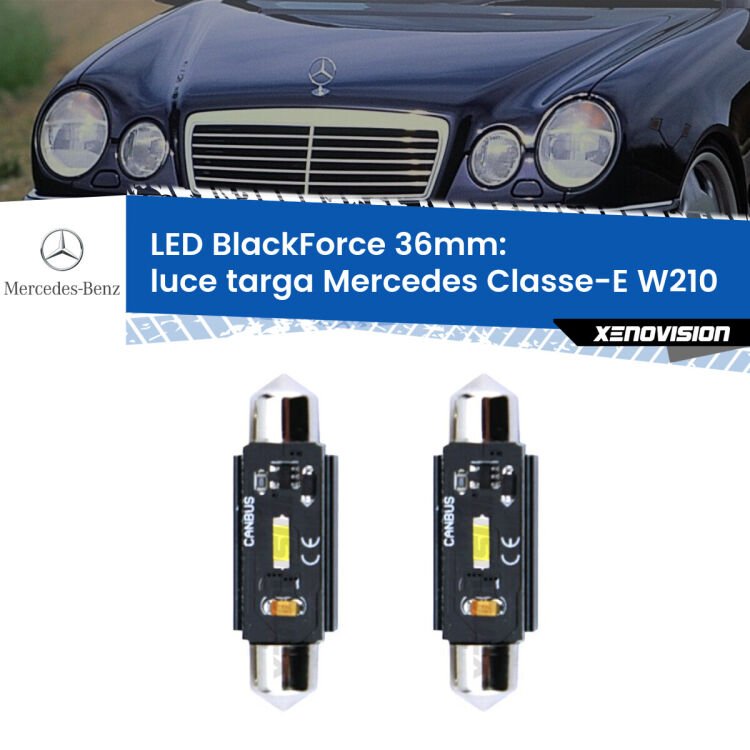 <strong>Luce Targa LED per Mercedes Classe-E</strong> W210 1995 - 2002. Coppia lampade <strong>C5W</strong> 36mm modello BlackForce canbus.