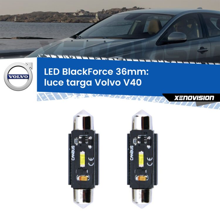 <strong>Luce Targa LED per Volvo V40</strong>  1995 - 2004. Coppia lampade <strong>C5W</strong> 36mm modello BlackForce canbus.