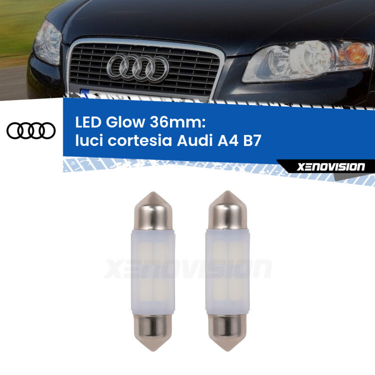 <strong>Luci Cortesia LED luce calda per Audi A4</strong> B7 posteriori. Coppia lampade <strong>C5W</strong> 36mm modello Glow di Xenovision.