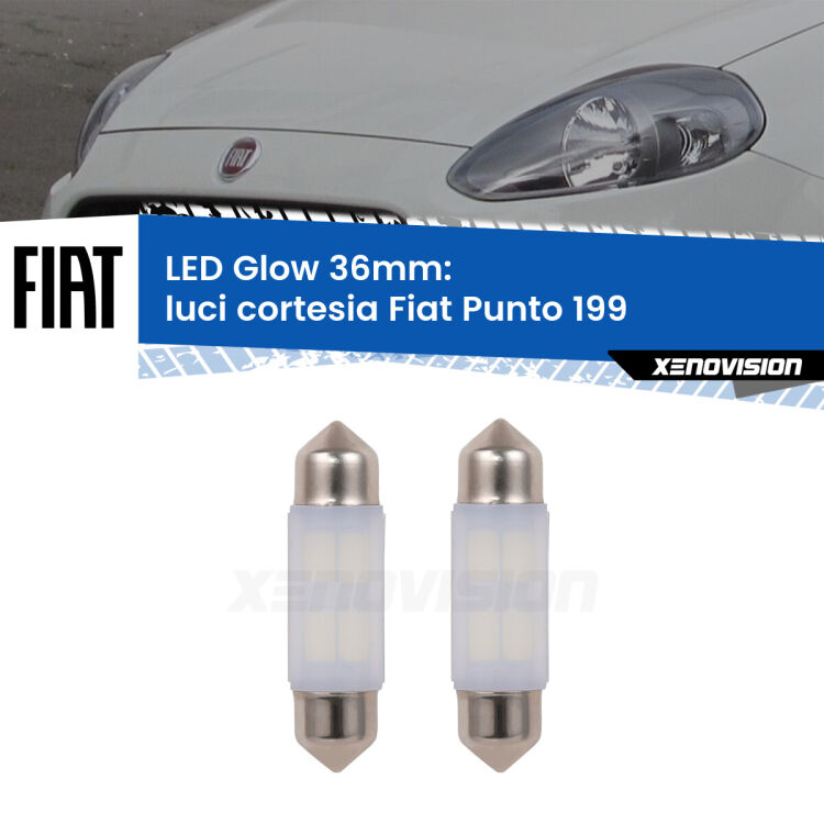 <strong>Luci Cortesia LED luce calda per Fiat Punto</strong> 199 2012 - 2018. Coppia lampade <strong>C5W</strong> 36mm modello Glow di Xenovision.