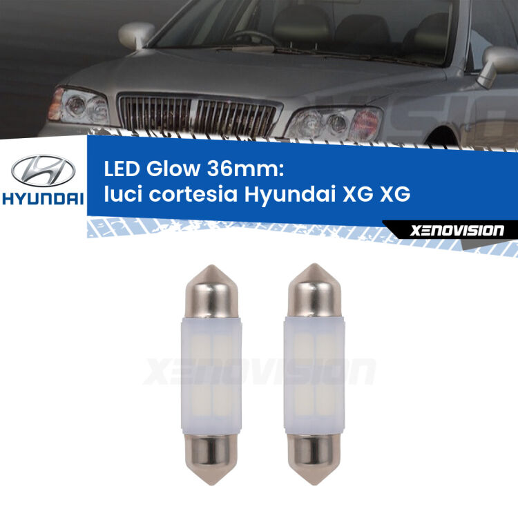 <strong>Luci Cortesia LED luce calda per Hyundai XG</strong> XG 1998 - 2005. Coppia lampade <strong>C5W</strong> 36mm modello Glow di Xenovision.