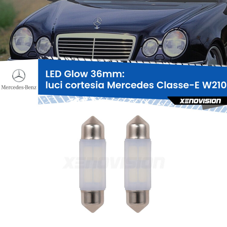 <strong>Luci Cortesia LED luce calda per Mercedes Classe-E</strong> W210 1995 - 2002. Coppia lampade <strong>C5W</strong> 36mm modello Glow di Xenovision.