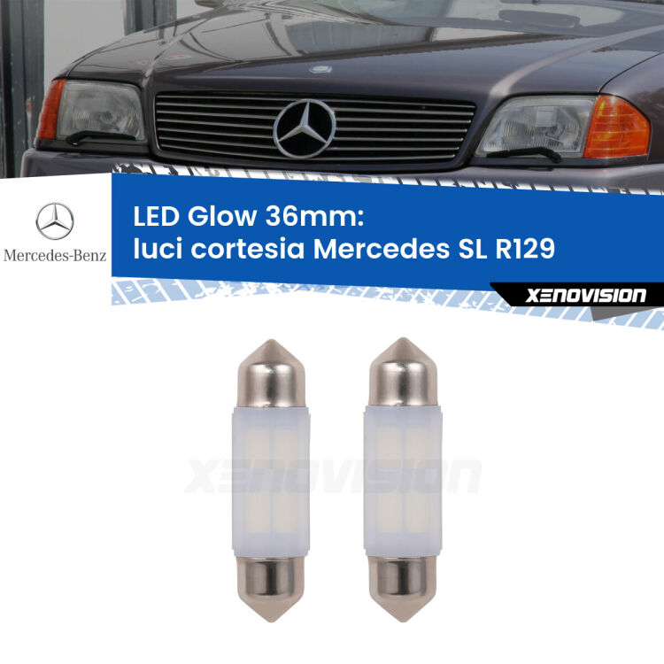 <strong>Luci Cortesia LED luce calda per Mercedes SL</strong> R129 1989 - 2001. Coppia lampade <strong>C5W</strong> 36mm modello Glow di Xenovision.