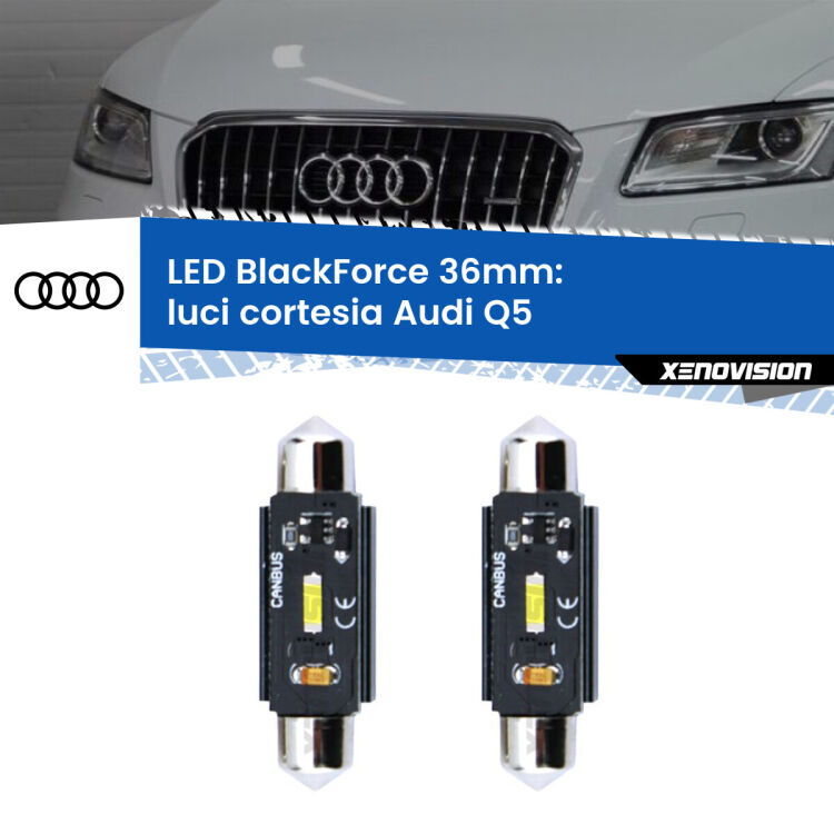 <strong>Luci Cortesia LED per Audi Q5</strong>  2008 - 2017. Coppia lampade <strong>C5W</strong> 36mm modello BlackForce canbus.