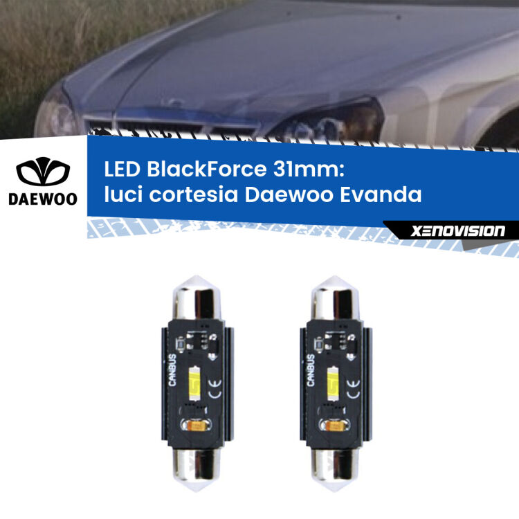 <strong>Luci Cortesia LED per Daewoo Evanda</strong>  2002 - 2005. Coppia lampade <strong>C5W</strong> 31mm modello BlackForce canbus.