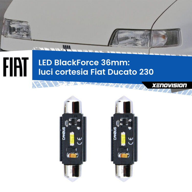 <strong>Luci Cortesia LED per Fiat Ducato</strong> 230 1994 - 2002. Coppia lampade <strong>C5W</strong> 36mm modello BlackForce canbus.