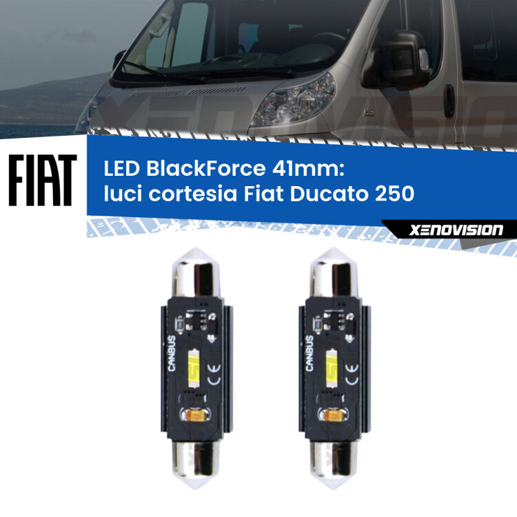 <strong>Luci Cortesia LED per Fiat Ducato</strong> 250 2006 - 2018. Coppia lampade <strong>C5W</strong> 41mm modello BlackForce canbus.