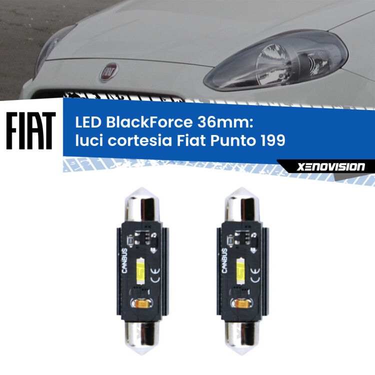 <strong>Luci Cortesia LED per Fiat Punto</strong> 199 2012 - 2018. Coppia lampade <strong>C5W</strong> 36mm modello BlackForce canbus.