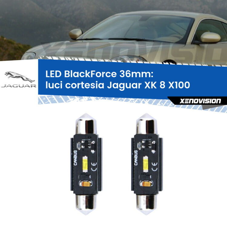 <strong>Luci Cortesia LED per Jaguar XK 8</strong> X100 1996 - 2005. Coppia lampade <strong>C5W</strong> 36mm modello BlackForce canbus.