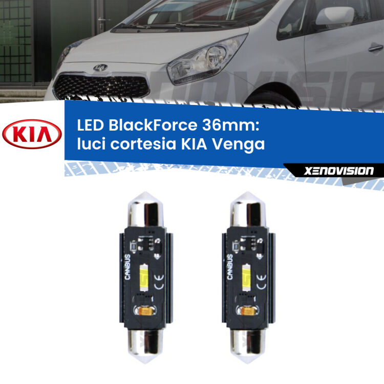 <strong>Luci Cortesia LED per KIA Venga</strong>  2010 - 2019. Coppia lampade <strong>C5W</strong> 36mm modello BlackForce canbus.