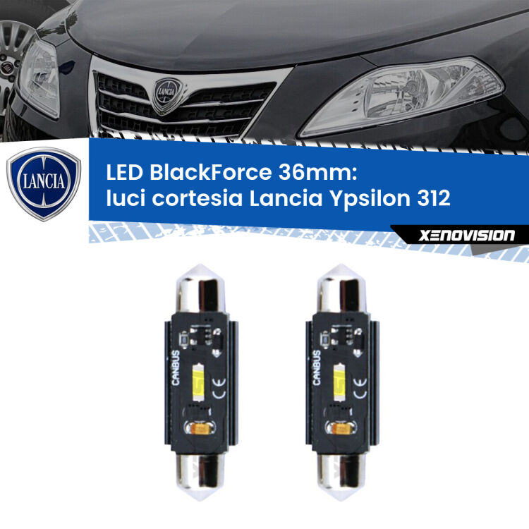 <strong>Luci Cortesia LED per Lancia Ypsilon</strong> 312 2011 in poi. Coppia lampade <strong>C5W</strong> 36mm modello BlackForce canbus.