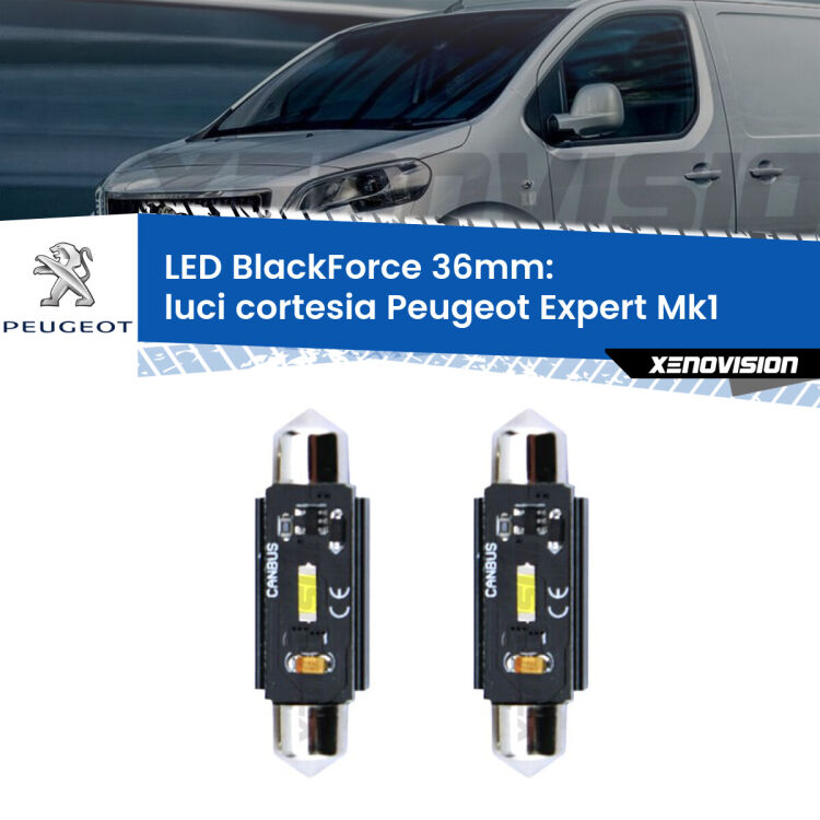 <strong>Luci Cortesia LED per Peugeot Expert</strong> Mk1 1996 - 2006. Coppia lampade <strong>C5W</strong> 36mm modello BlackForce canbus.