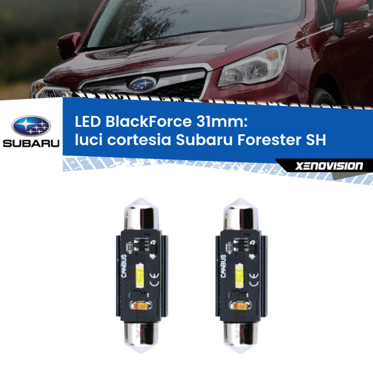 <strong>Luci Cortesia LED per Subaru Forester</strong> SH 2008 - 2014. Coppia lampade <strong>C5W</strong> 31mm modello BlackForce canbus.