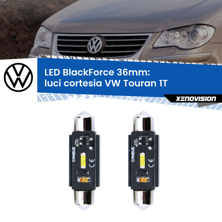 <strong>Luci Cortesia LED per VW Touran</strong> 1T posteriori. Coppia lampade <strong>C5W</strong> 36mm modello BlackForce canbus.