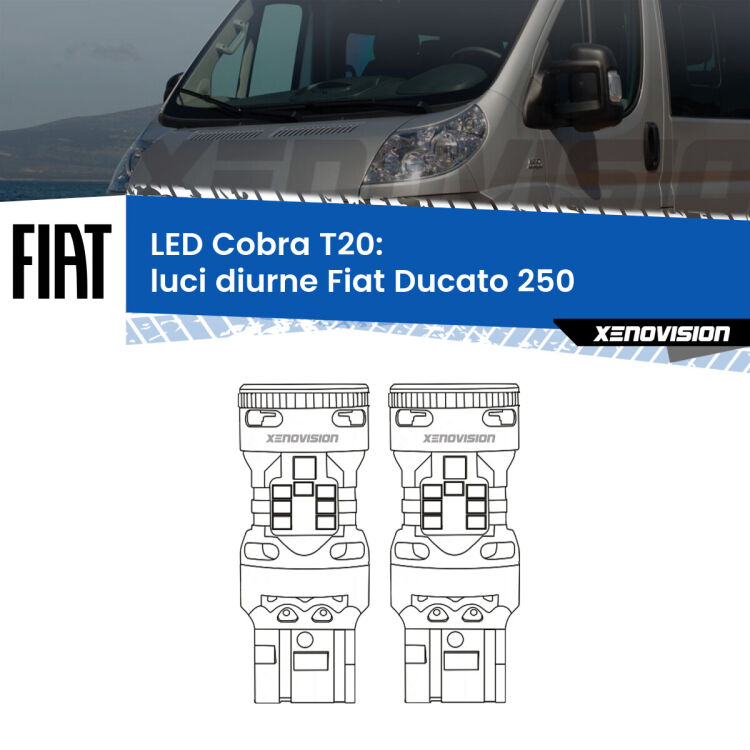 <strong>Luci diurne LED no-spie per Fiat Ducato</strong> 250 2014 - 2018. Coppia lampade <strong>T20</strong> modello Cobra super-canbus, raffreddate a ventola.