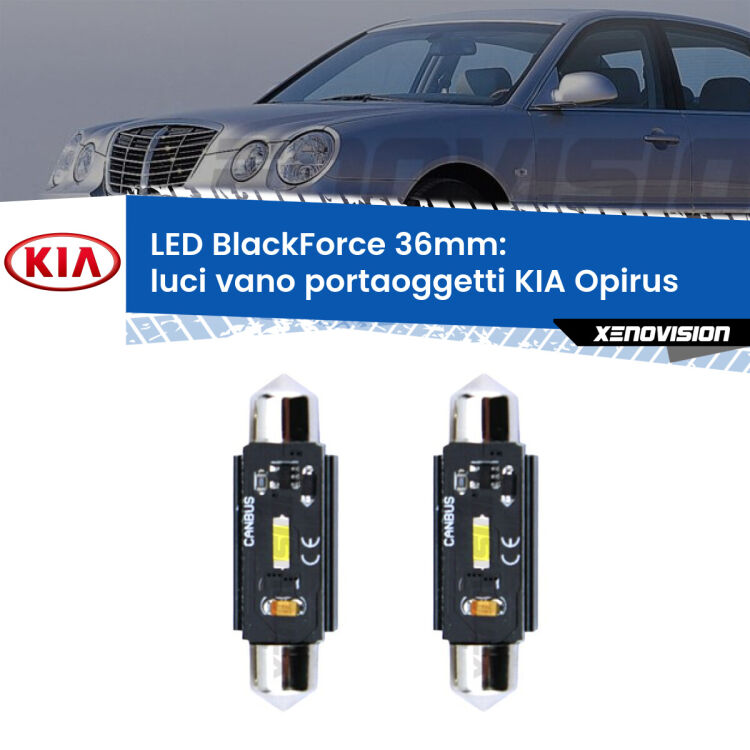 <strong>Luci Vano Portaoggetti LED per KIA Opirus</strong>  2003 - 2011. Coppia lampade <strong>C5W</strong> 36mm modello BlackForce canbus.