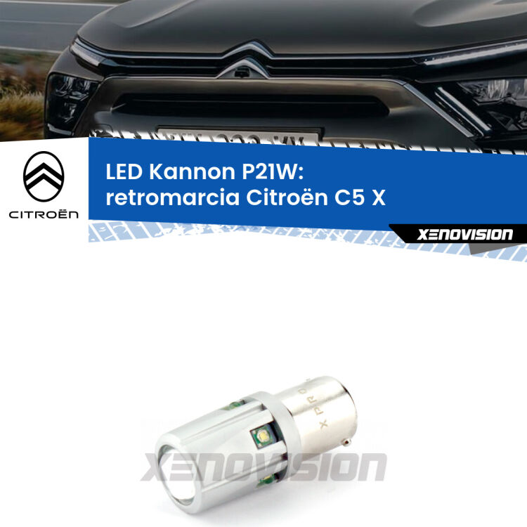 <strong>LED per Retromarcia Citroën C5 X  2021 in poi.</strong>Lampadina P21W con una poderosa illuminazione frontale rafforzata da 5 potenti chip laterali.