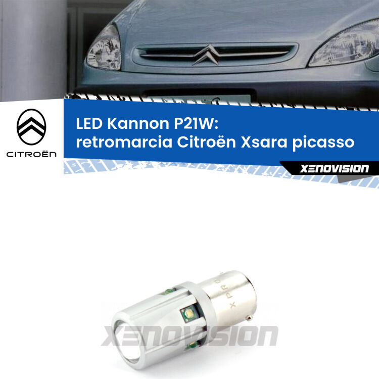 <strong>LED per Retromarcia Citroën Xsara picasso  1999 - 2012.</strong>Lampadina P21W con una poderosa illuminazione frontale rafforzata da 5 potenti chip laterali.