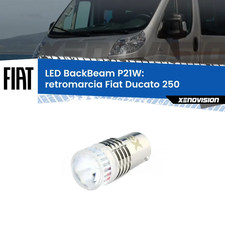 <strong>Retromarcia LED per Fiat Ducato</strong> 250 2006 - 2013. Lampada <strong>P21W</strong> canbus. Illumina a giorno con questo straordinario cannone LED a luminosità estrema.