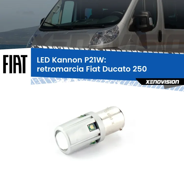 <strong>LED per Retromarcia Fiat Ducato 250 2006 - 2013.</strong>Lampadina P21W con una poderosa illuminazione frontale rafforzata da 5 potenti chip laterali.