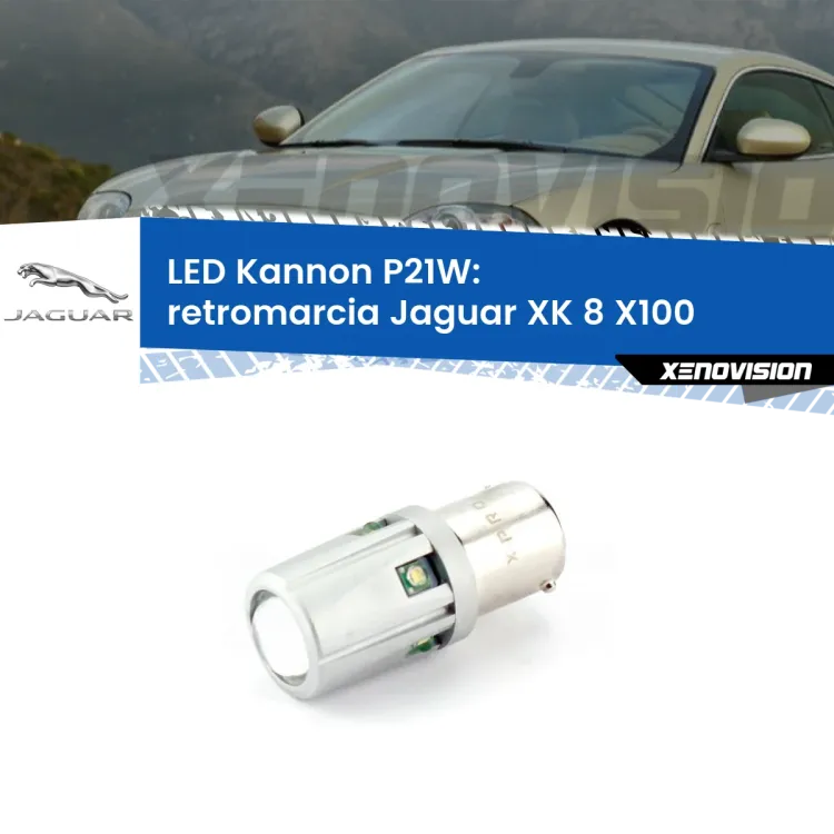 <strong>LED per Retromarcia Jaguar XK 8 X100 1996 - 2005.</strong>Lampadina P21W con una poderosa illuminazione frontale rafforzata da 5 potenti chip laterali.